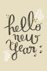 poza-articol-blog-happy-new-year